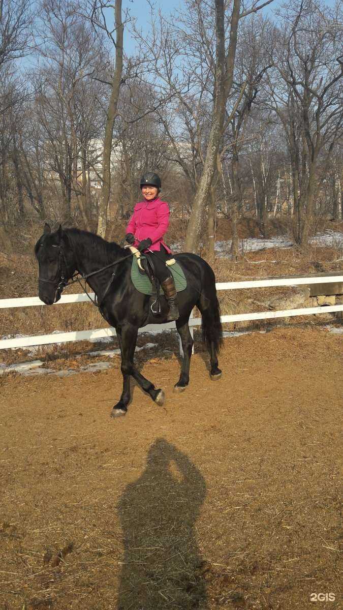 Отзывы на компанию Rosso в Владивостоке c фото