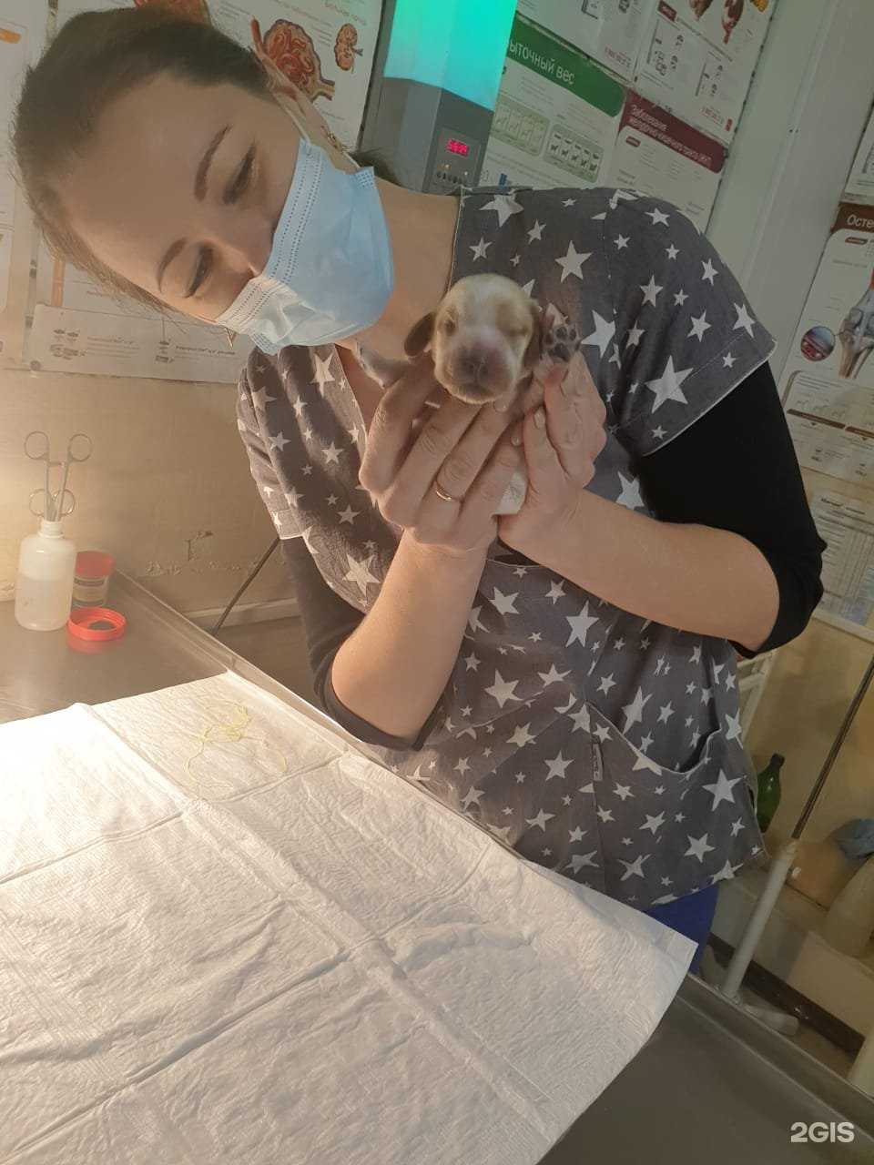 Отзывы на компанию Зверье мое в Улан-Удэ c фото