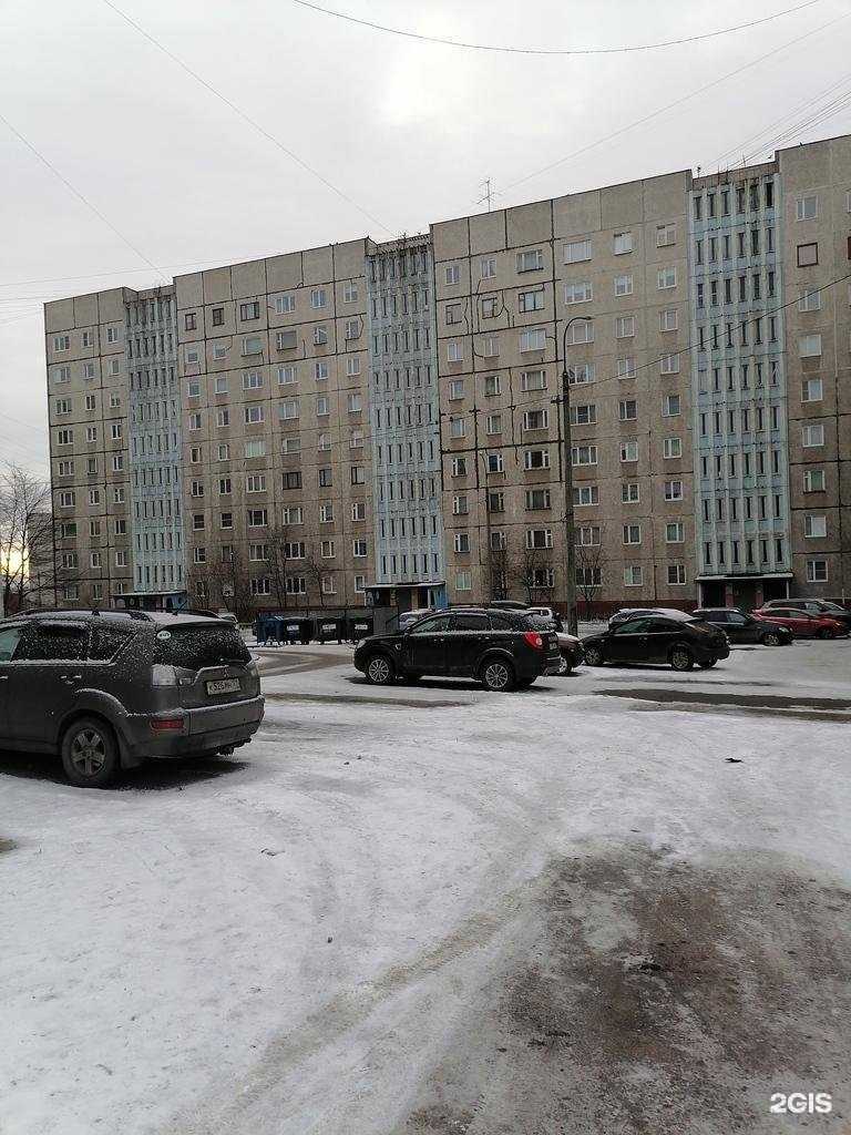 Отзывы на компанию Pizza 51 в Мурманске c фото - фотография 2 из 2