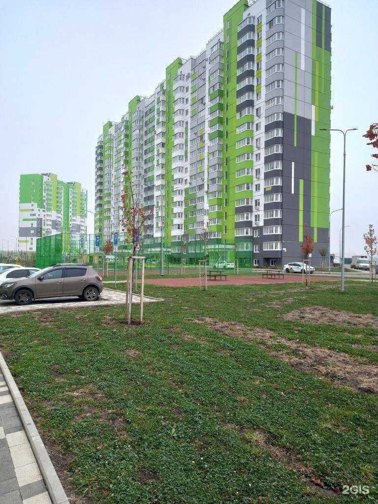 Отзывы на компанию Ego в Краснодаре c фото - фотография 2 из 2