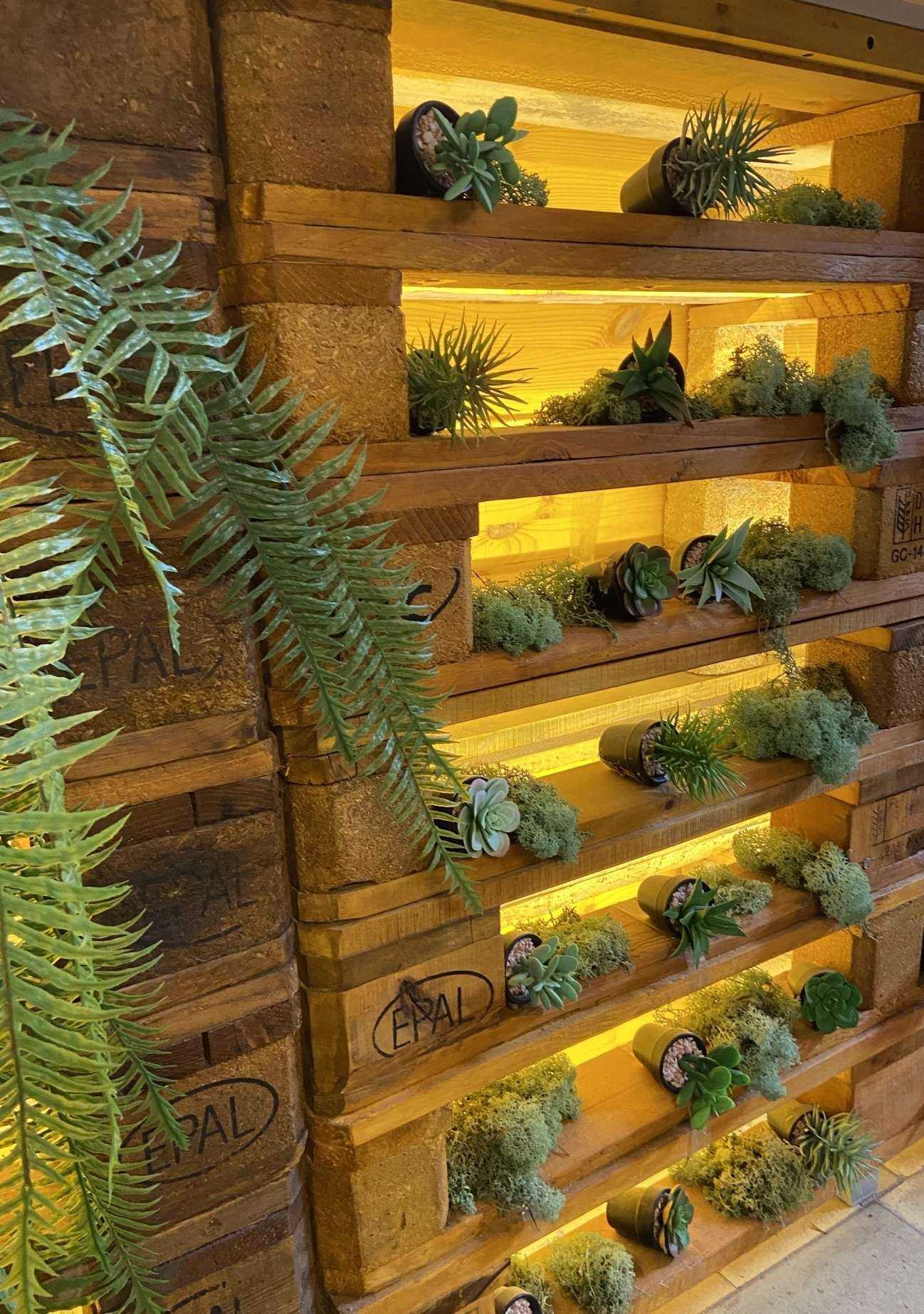 Отзывы на компанию Компания по прокату велосипедов в Светлогорске c фото - фотография 2 из 2