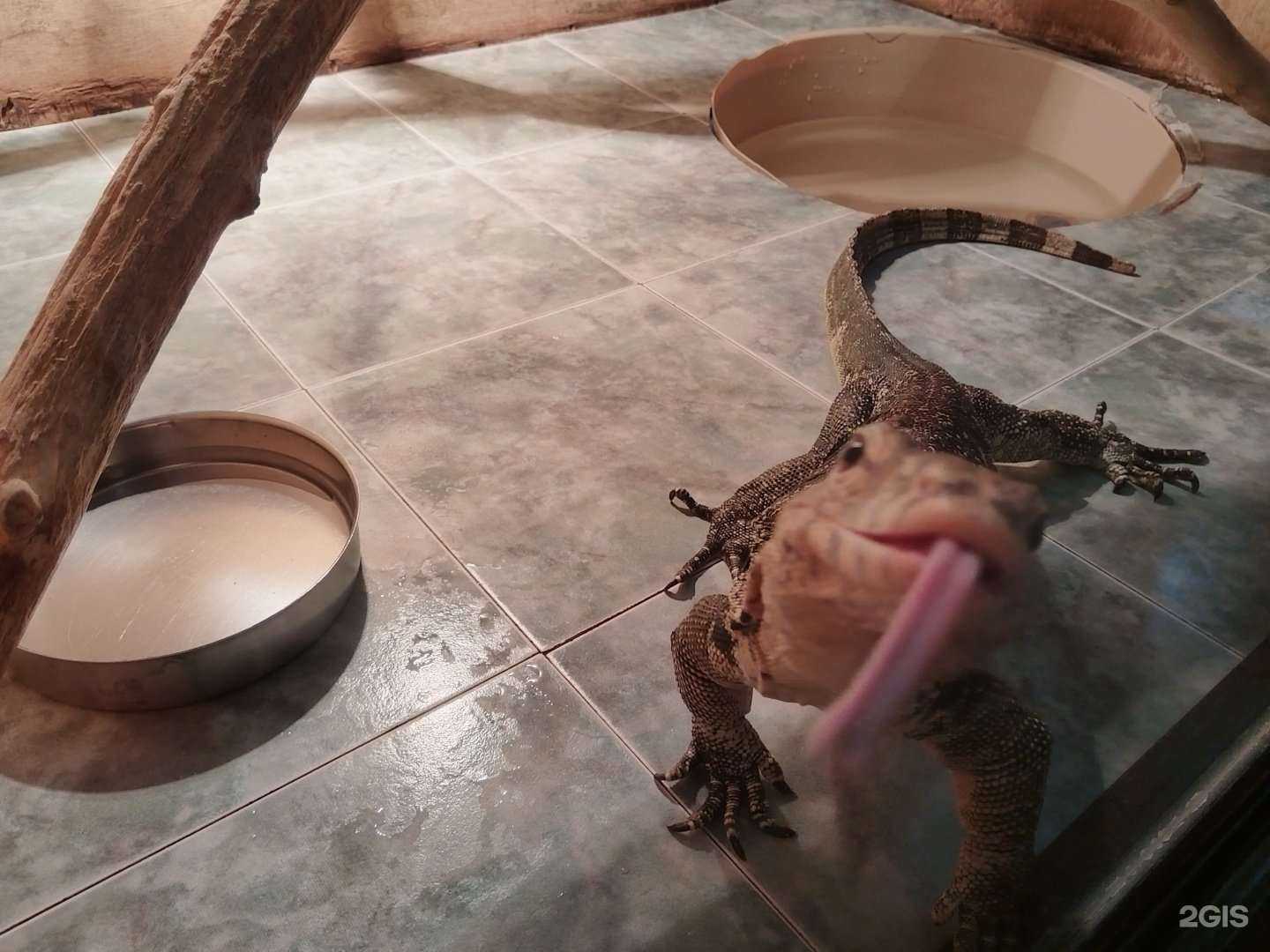 Отзывы на компанию Школа №48 в Тюмени c фото