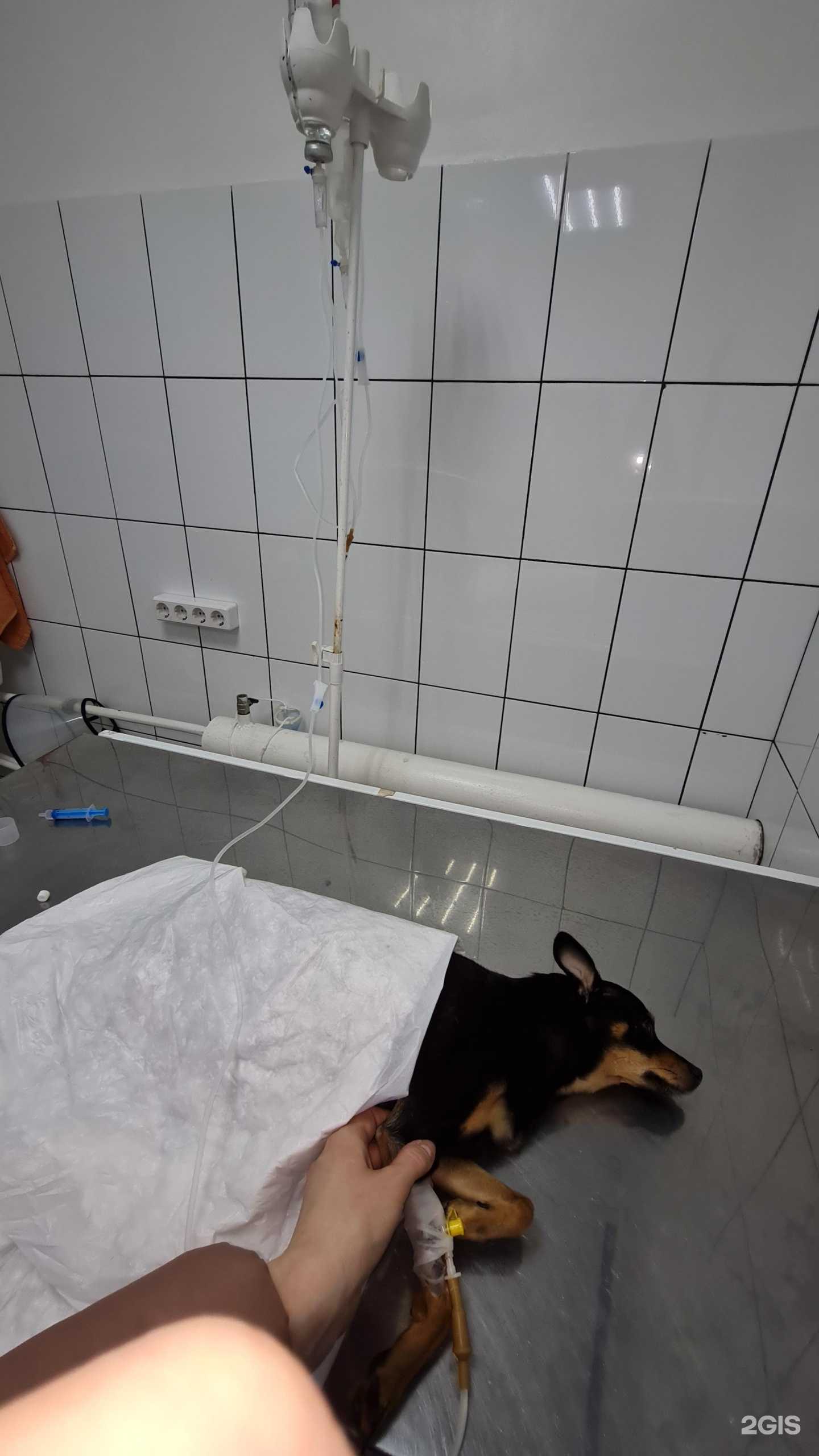 Отзывы на компанию Игуана в Октябрьском c фото