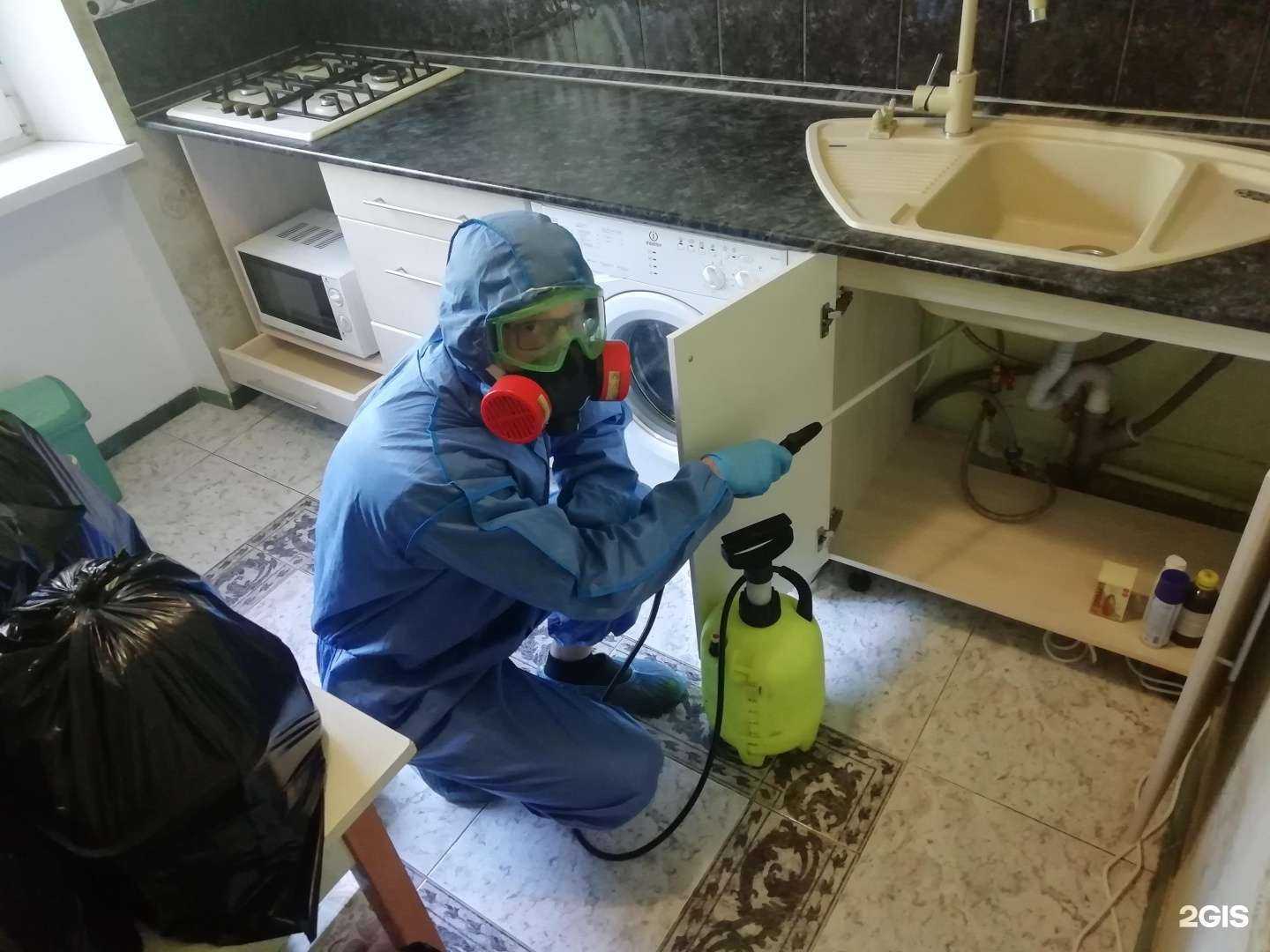 Отзывы на компанию Дезинсектор СЭС в г. Новосибирск c фото