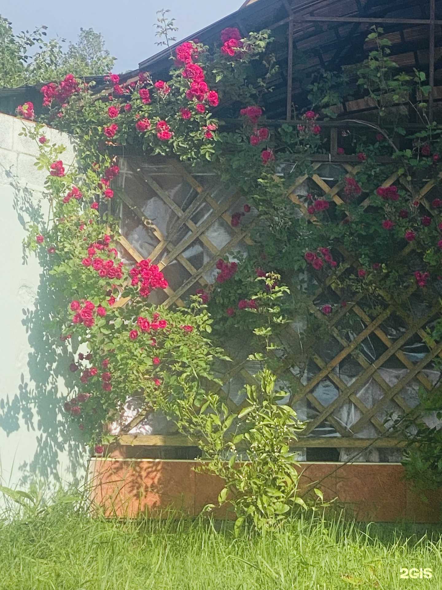 Отзывы на компанию Тихая гавань в г. Сочи c фото