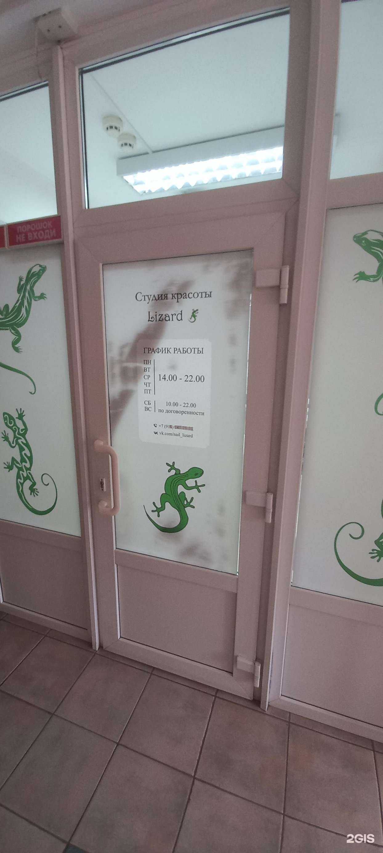 Отзывы на компанию Lizard в г. Тверь c фото