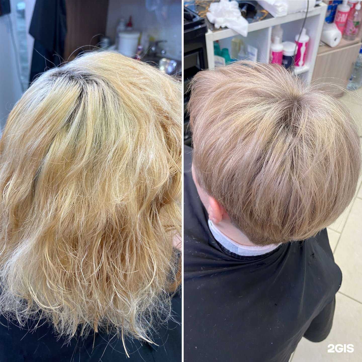 Отзывы на компанию Чио чио в г. Псков c фото