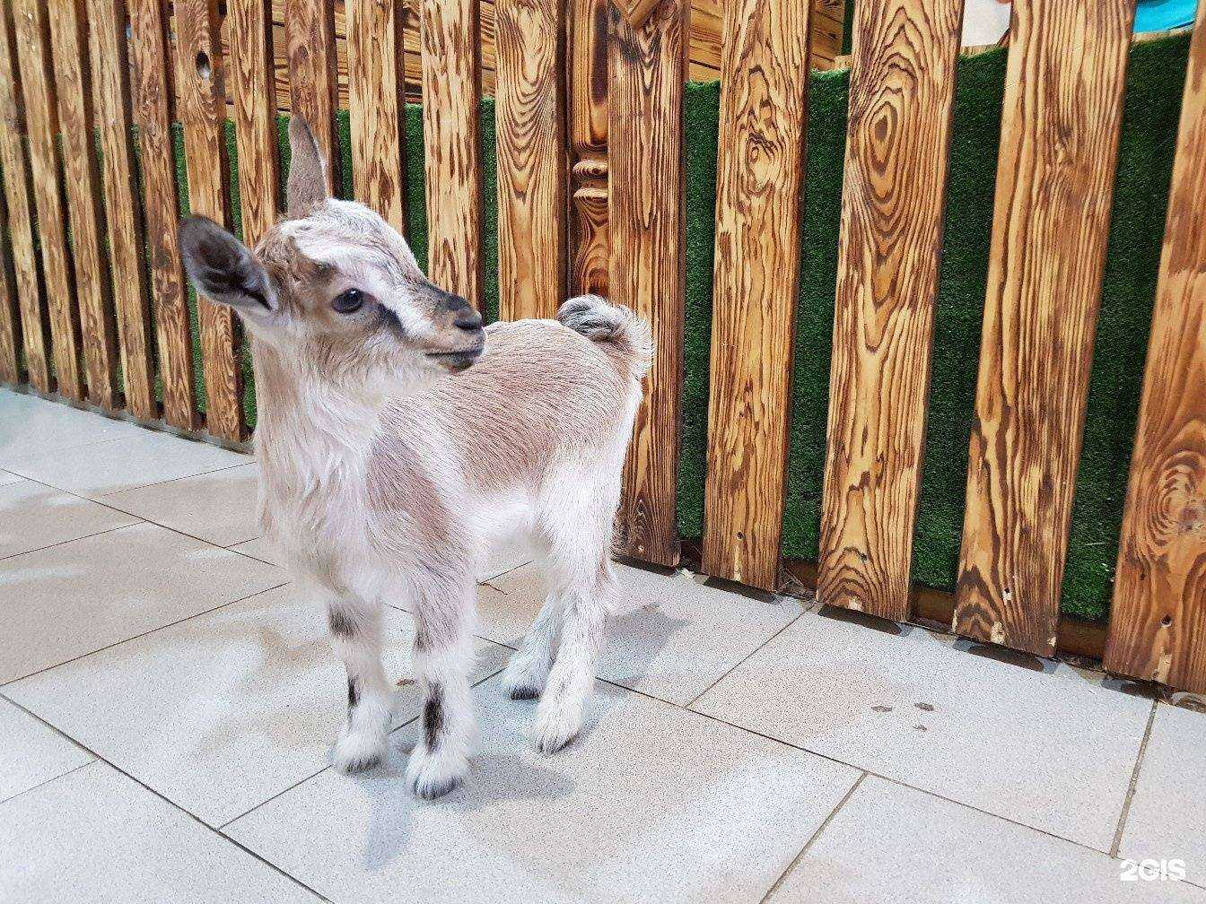 Отзывы на компанию Лесная братва в г. Нижний Тагил c фото