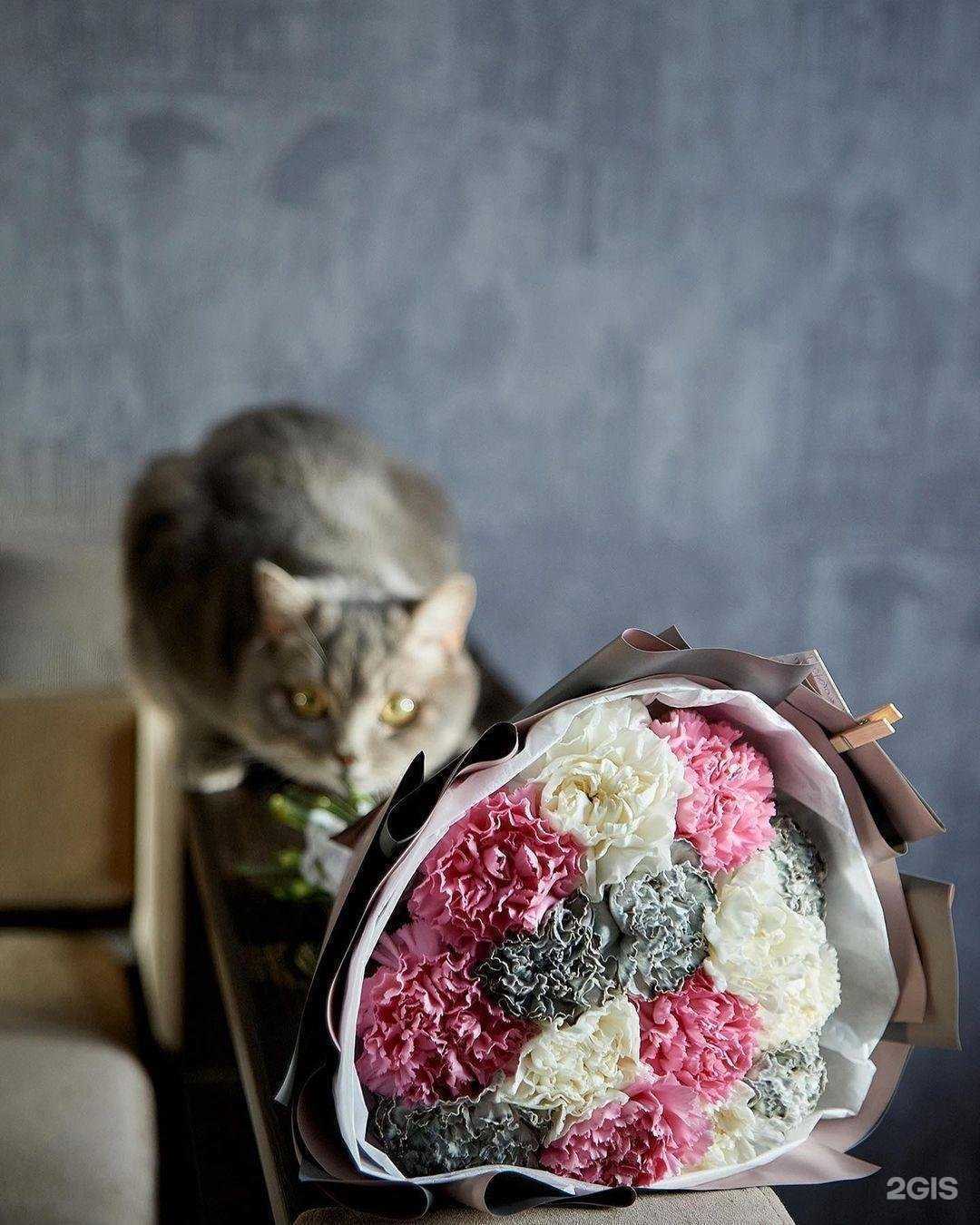 Отзывы на компанию Flower Family в г. Великие Луки c фото