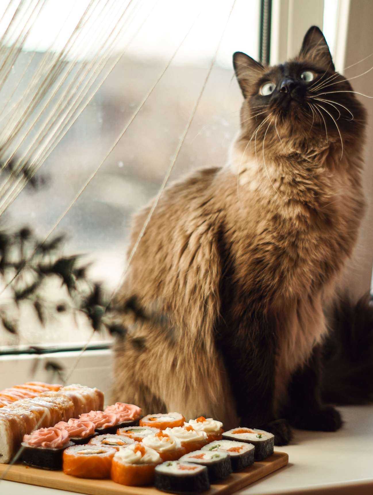 Отзывы на компанию Суши-Маркет в Сочи c фото