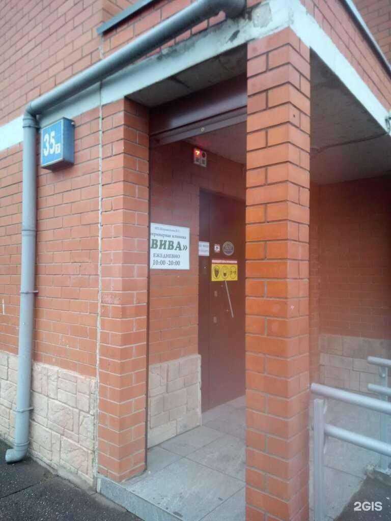 Отзывы на компанию Вива в г. Пушкино c фото