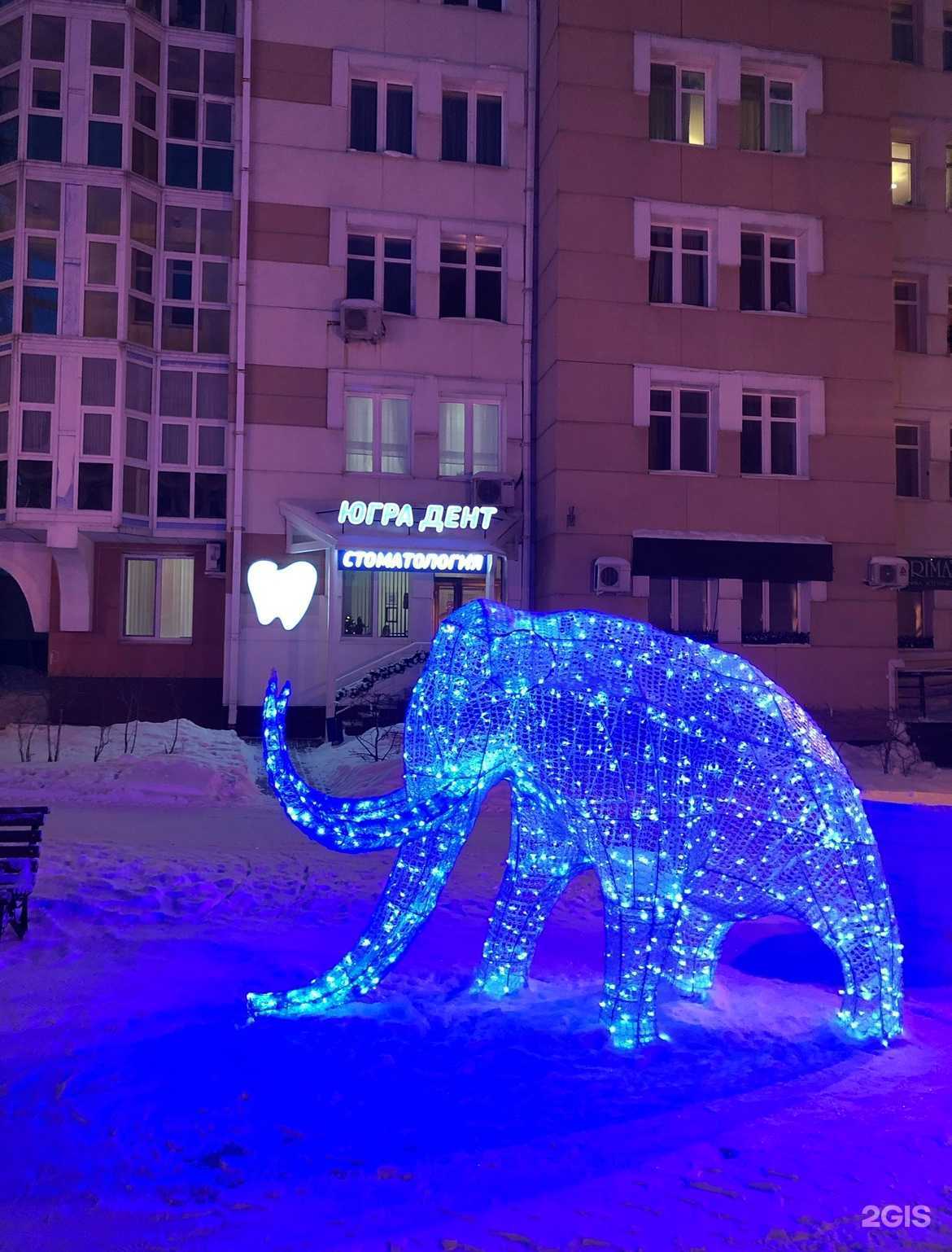 Отзывы на компанию Югра Дент в г. Ханты-Мансийск c фото