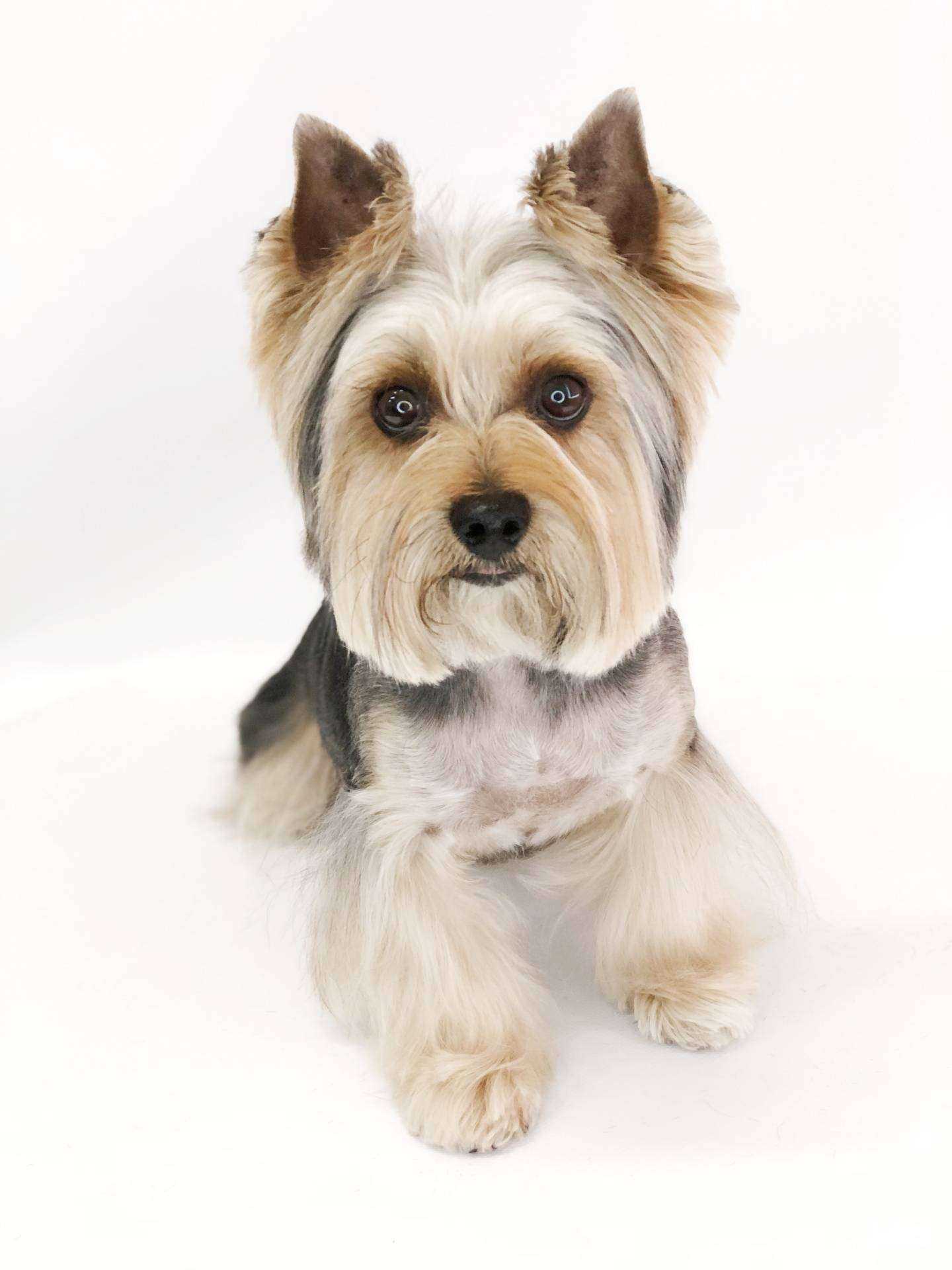 Отзывы на компанию Groom House в Екатеринбурге c фото