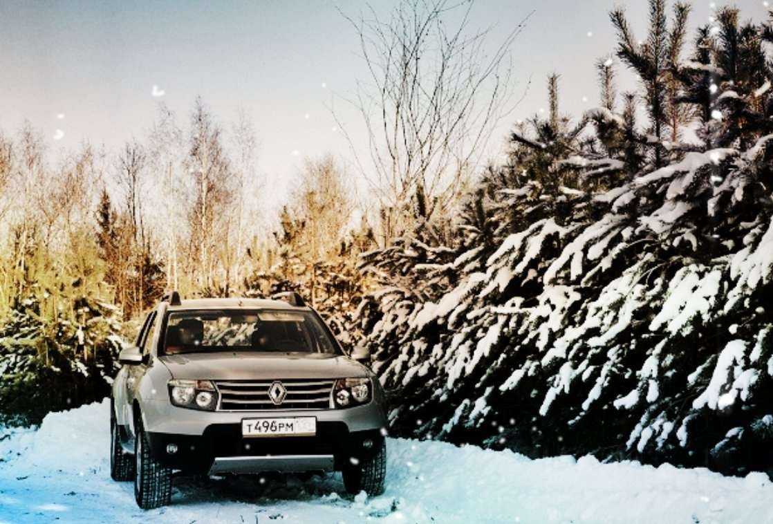 Отзывы на компанию Next Межгород в г. Нижний Тагил c фото