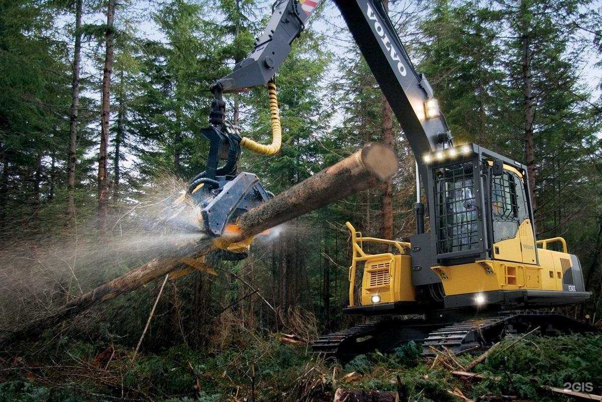 Отзывы на компанию Древпроектстрой в Кургане c фото