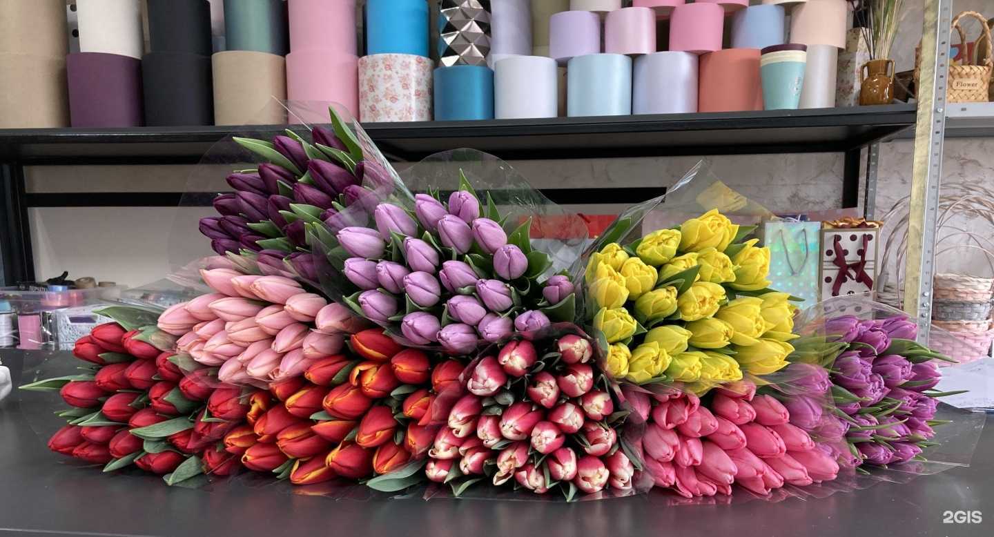 Отзывы на компанию Бутон в Геленджике c фото