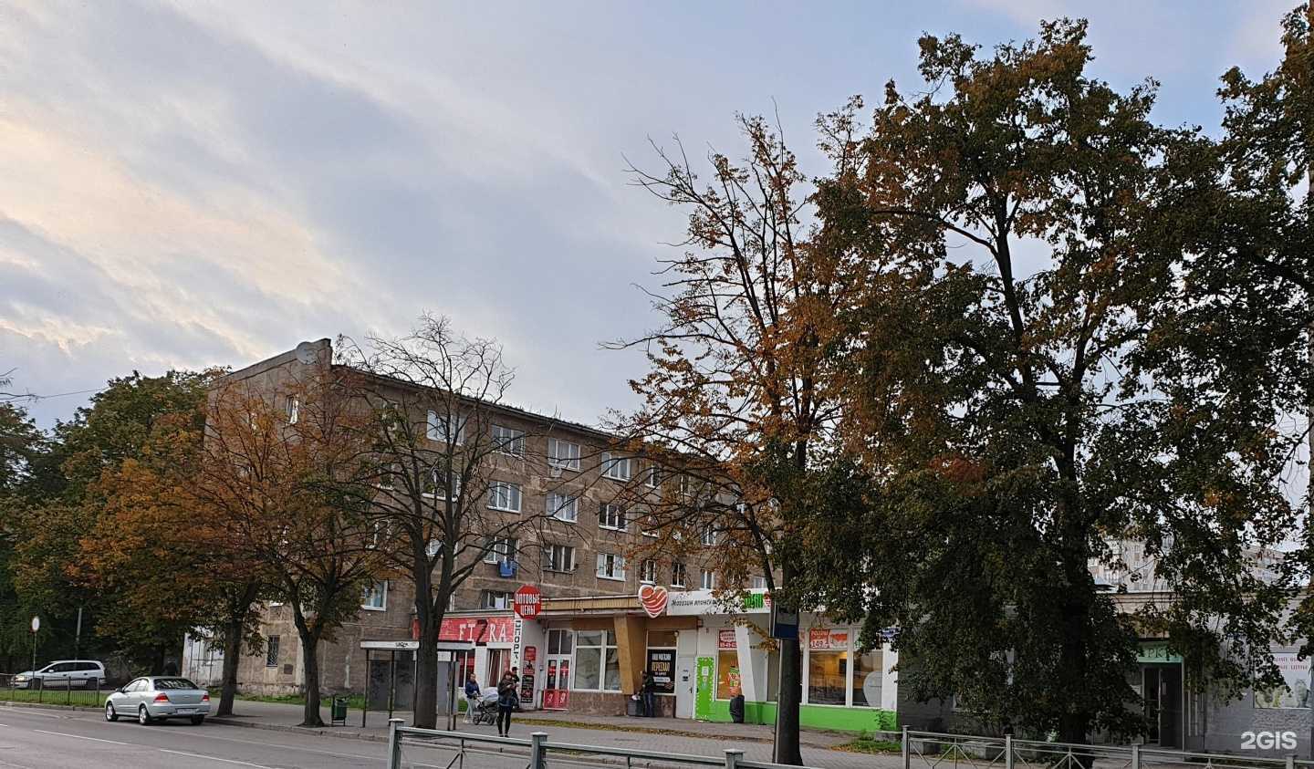 Отзывы на компанию Золотая комета в Калининграде c фото - фотография 2 из 2