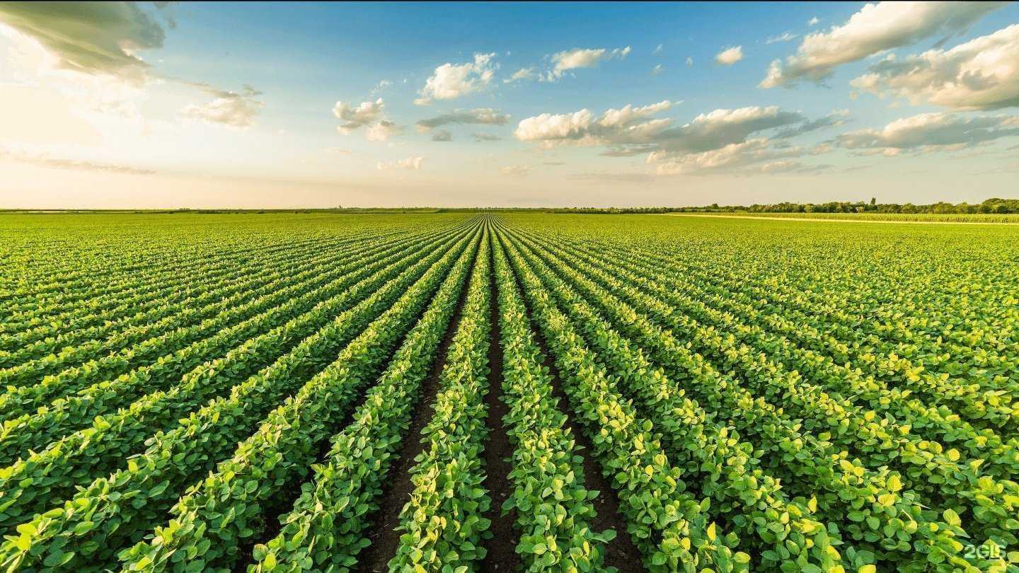 Отзывы на компанию Яровит в г. Белгород c фото