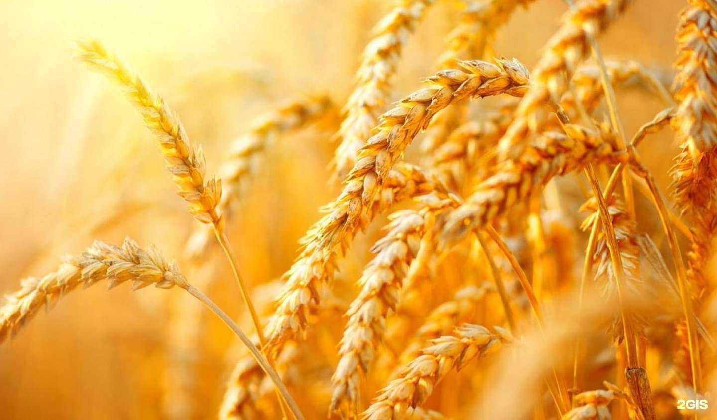 Отзывы на компанию Бюро веритас Русь в г. Калининград c фото