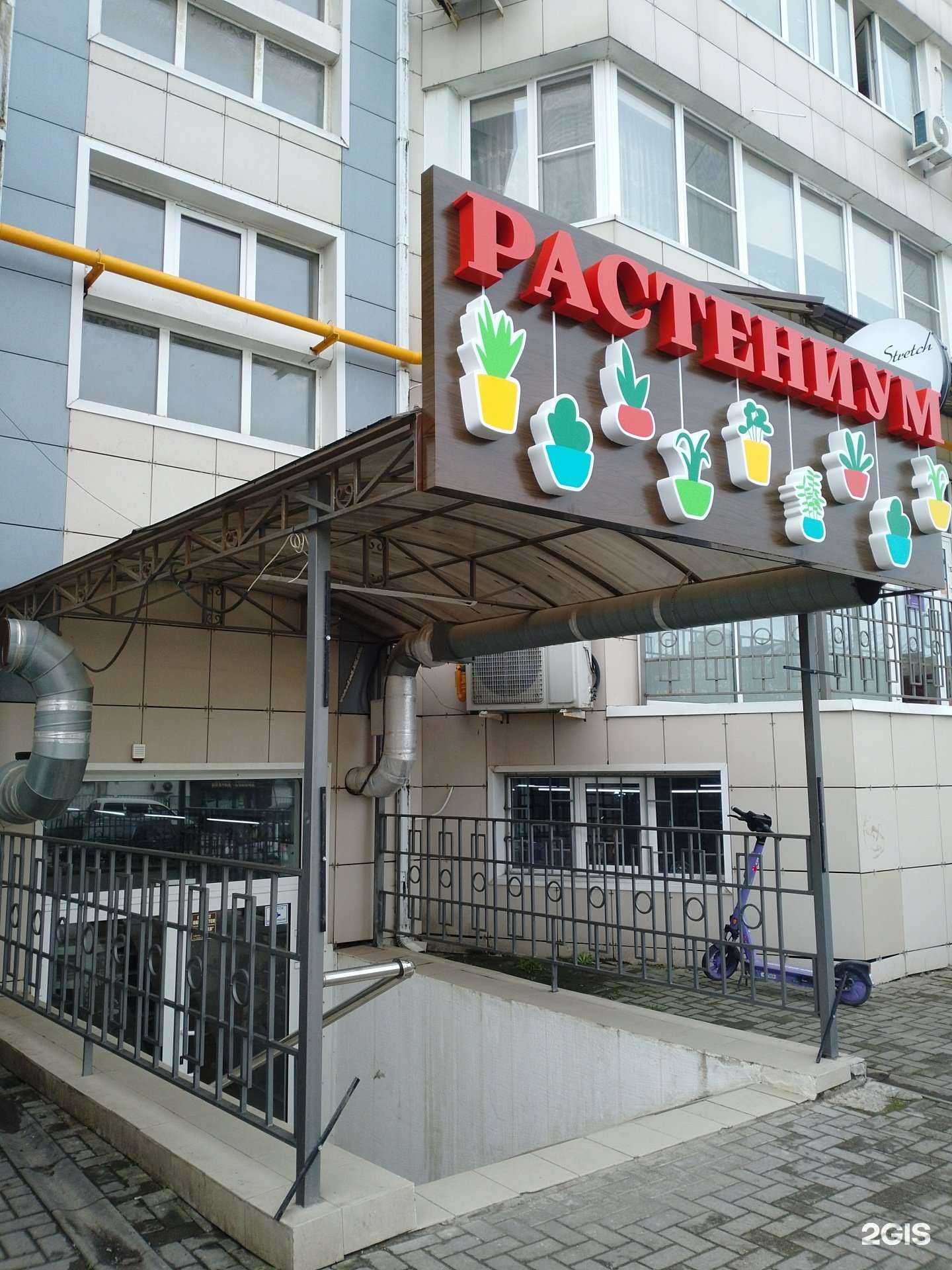 Отзывы на компанию Растениум  в Анапе c фото