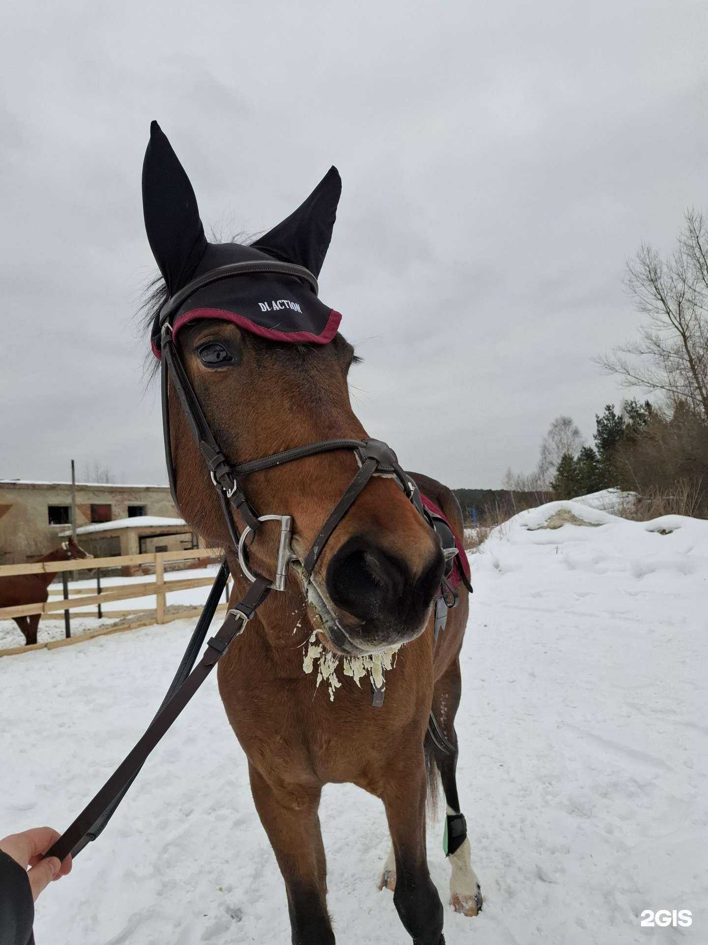 Отзывы на компанию Таганай в Златоусте c фото