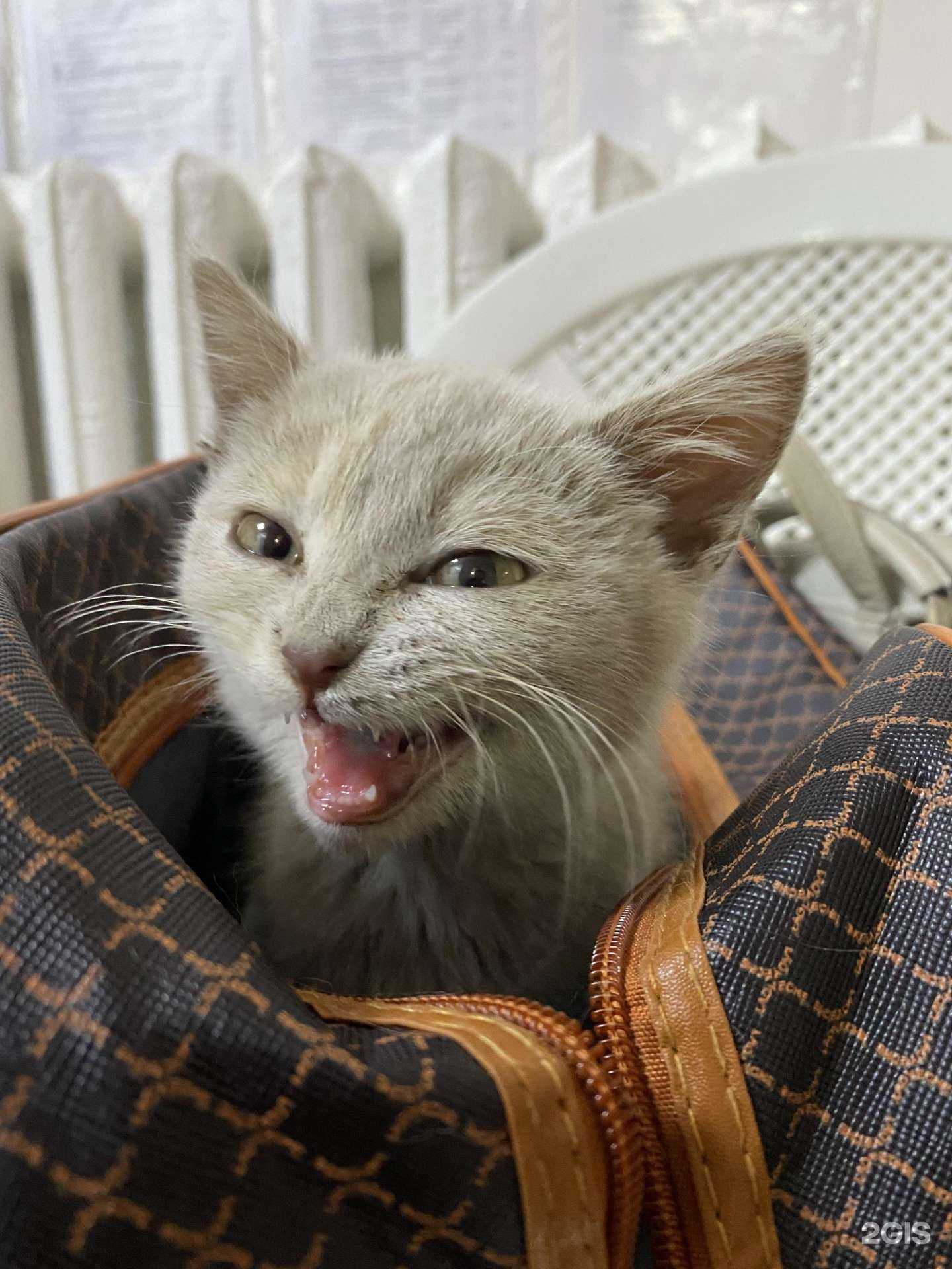 Отзывы на компанию Зоодоктор в Уфе c фото