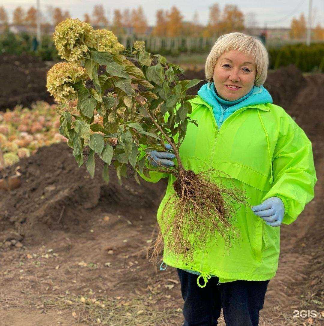 Отзывы на компанию Садовый центр Веры Глуховой в г. Самара c фото