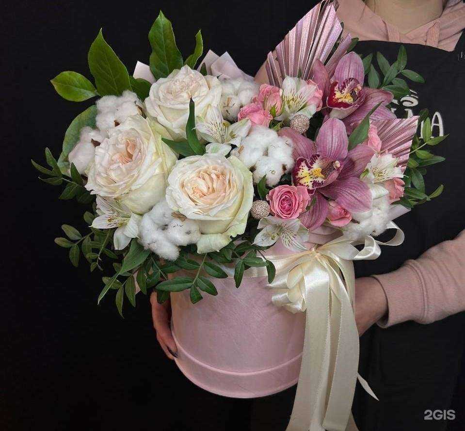 Отзывы на компанию Пальма в Белгороде c фото