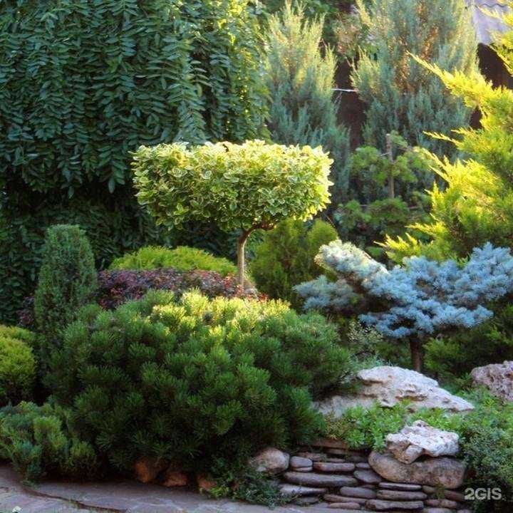 Отзывы на компанию Каменный мост24 в г. Красноярск c фото