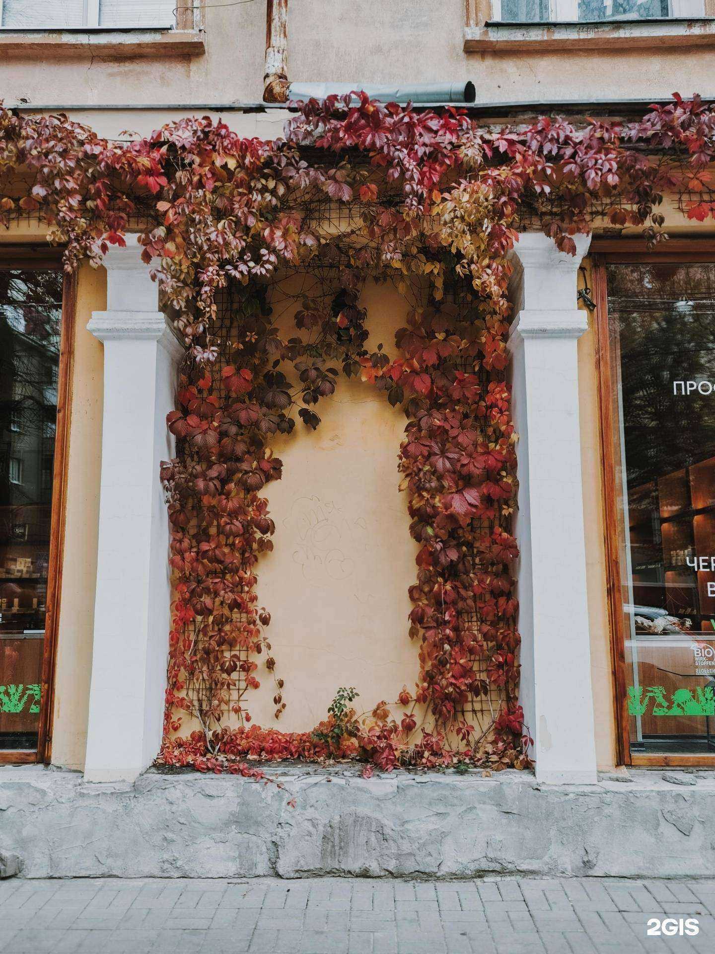 Отзывы на компанию Doors в Воронеже c фото - фотография 2 из 2