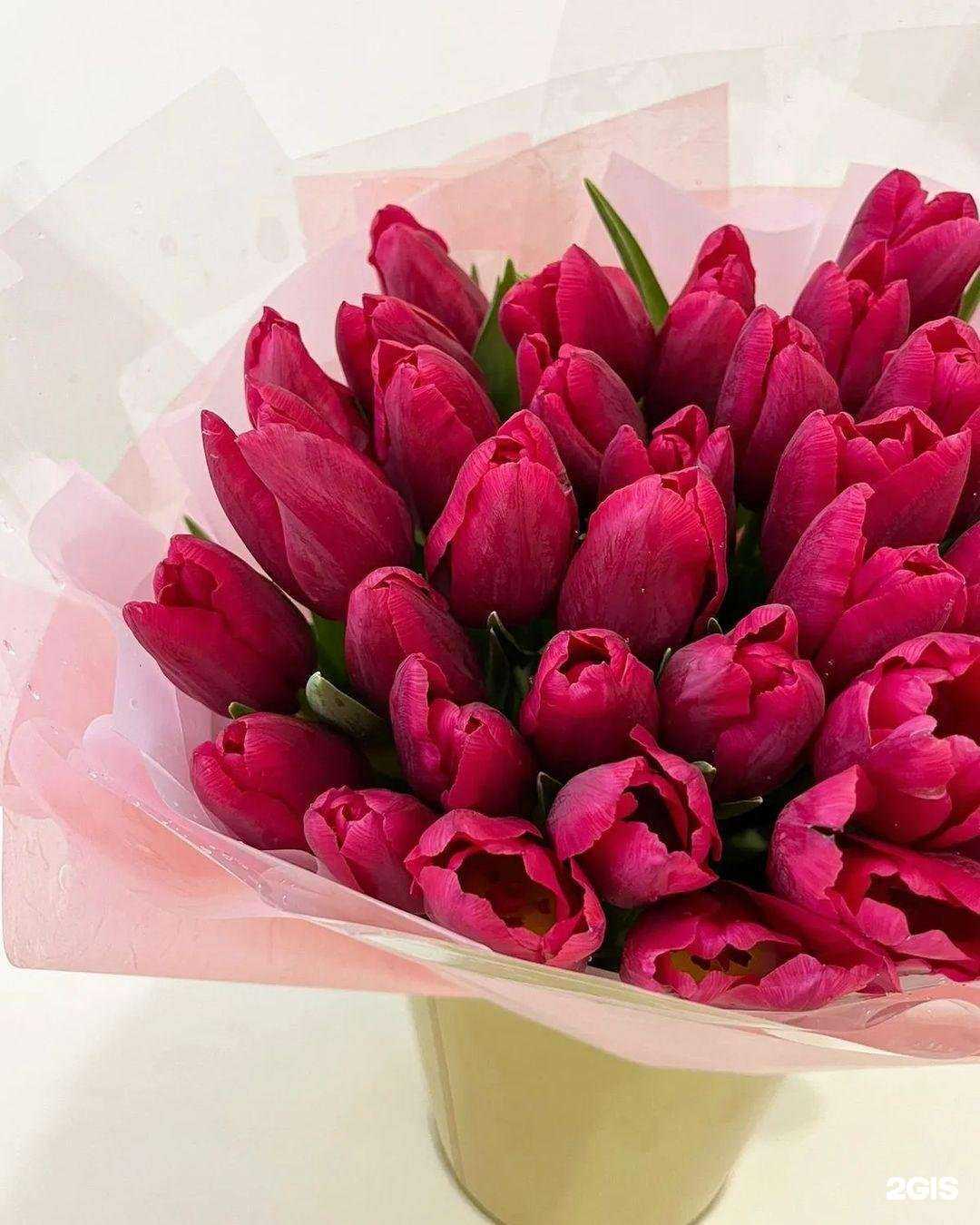 Отзывы на компанию Нектар в Ростове-на-Дону c фото