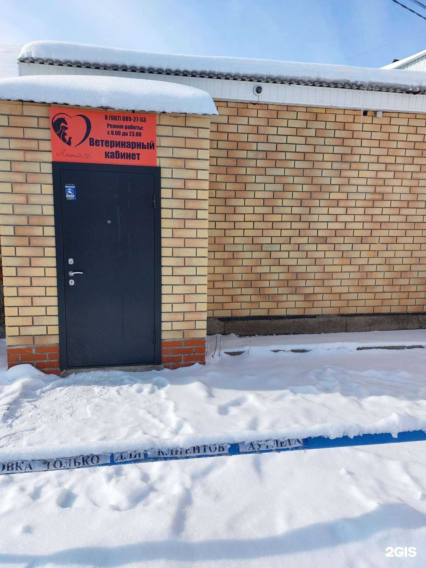 Отзывы на компанию Animals_56 в г. Оренбург c фото