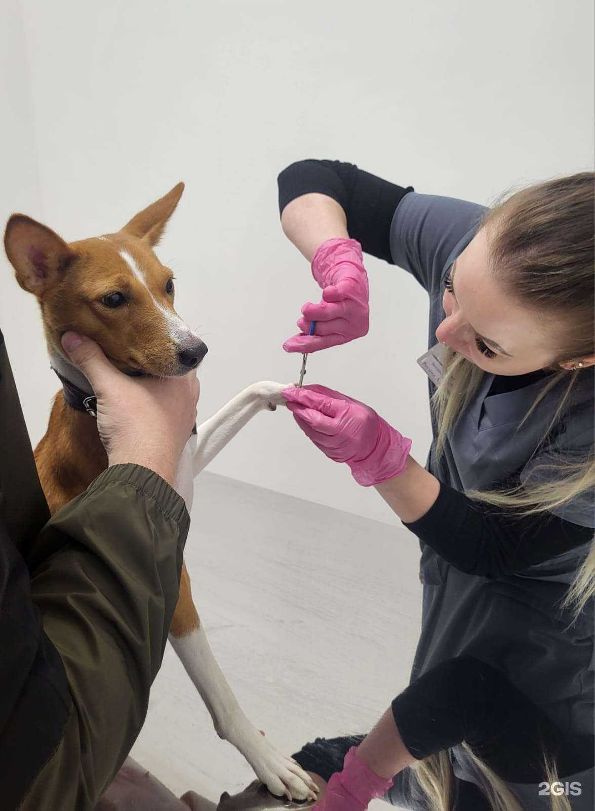 Отзывы на компанию ВетСфера в Челябинске c фото