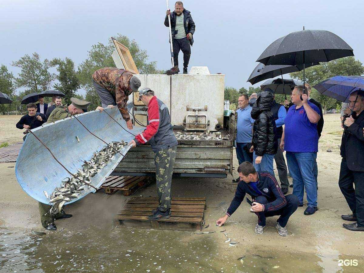 Отзывы на компанию Региональная корпорация развития в г. Ростов-на-Дону c фото