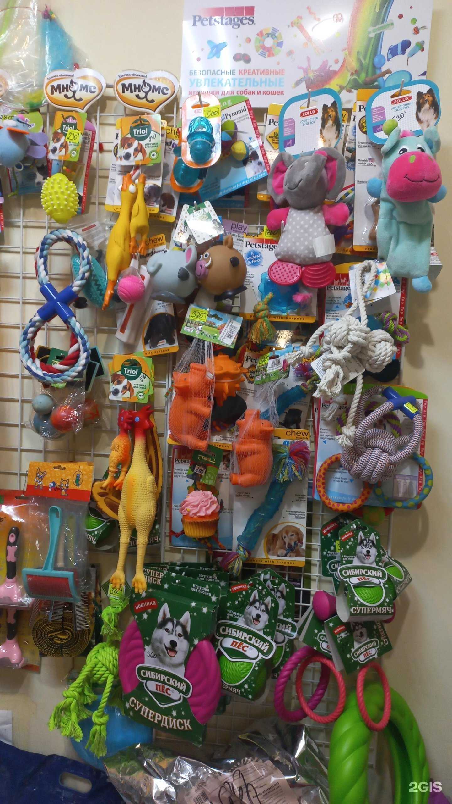 Отзывы на компанию Магазин зоотоваров в г. Тольятти c фото