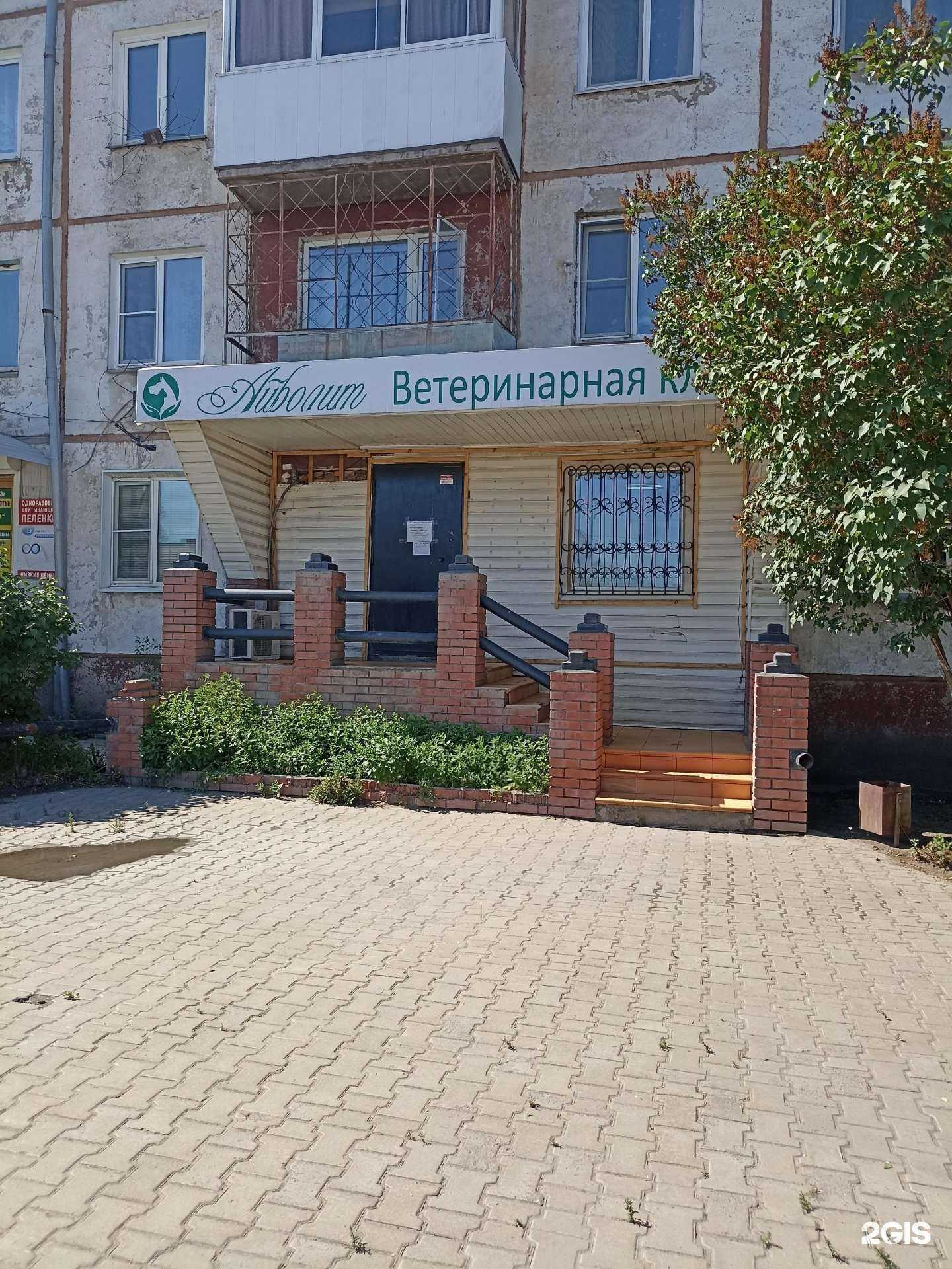 Отзывы на компанию Айболит в Черногорске c фото