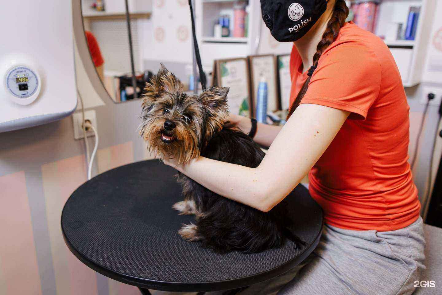 Отзывы на компанию Polish в Оренбурге c фото