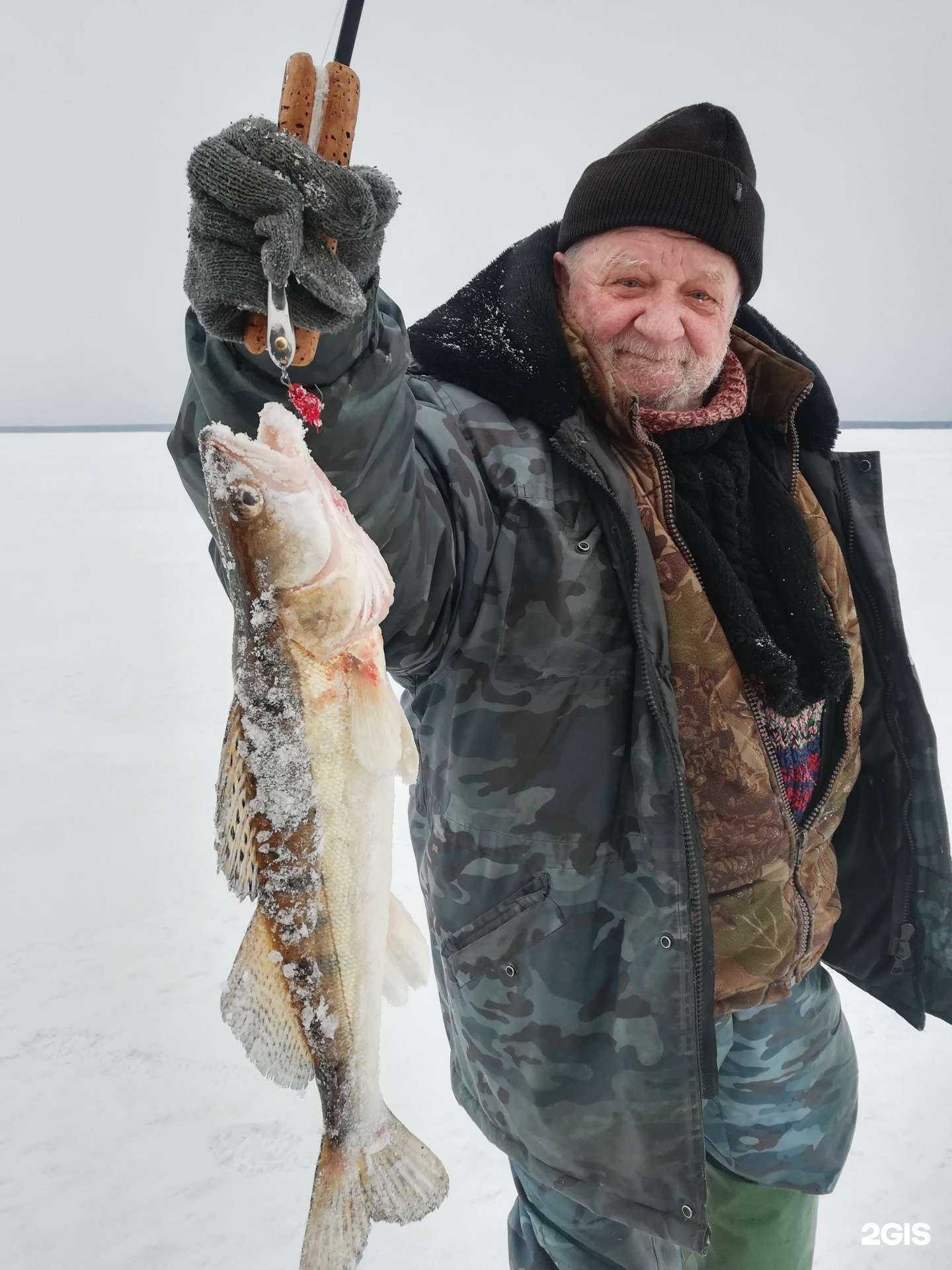 Отзывы на компанию Bga в Новосибирске c фото