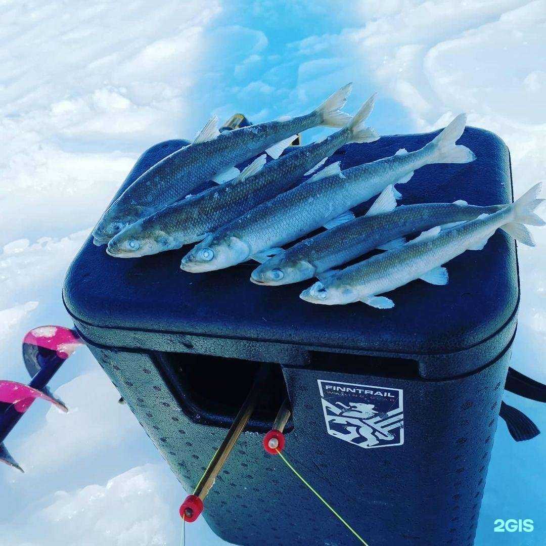 Отзывы на компанию ГиперФиш в Владивостоке c фото