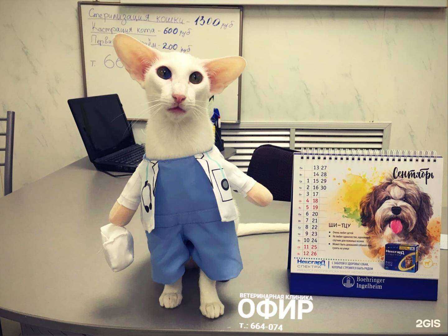 Отзывы на компанию Офир в Тольятти c фото