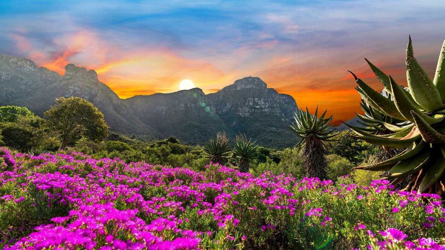 Отзывы на компанию DeviClub в Одинцове c фото