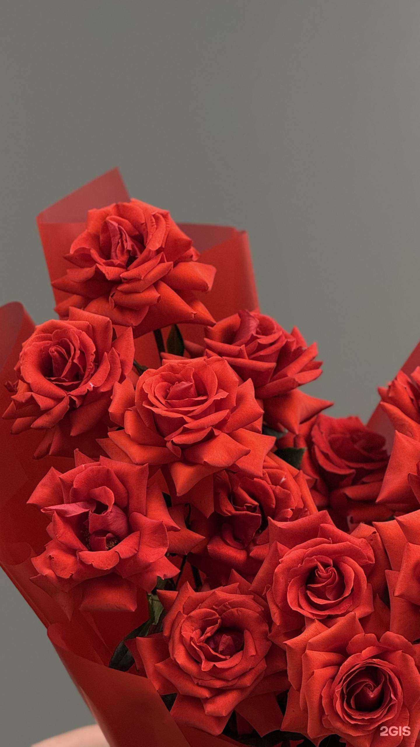 Отзывы на компанию Цветябрь в Хабаровске c фото