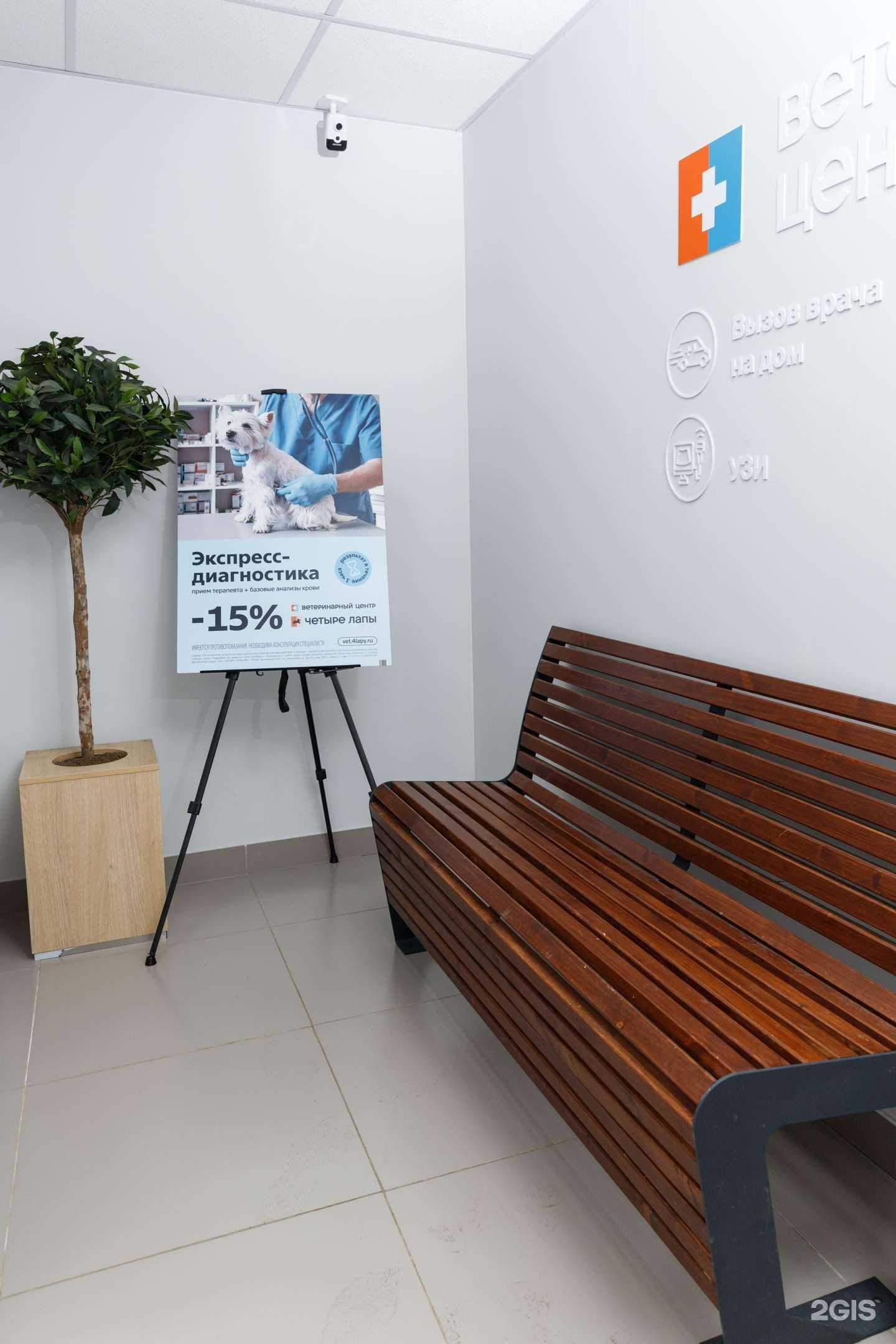 Отзывы на компанию Четыре лапы в Королёве c фото