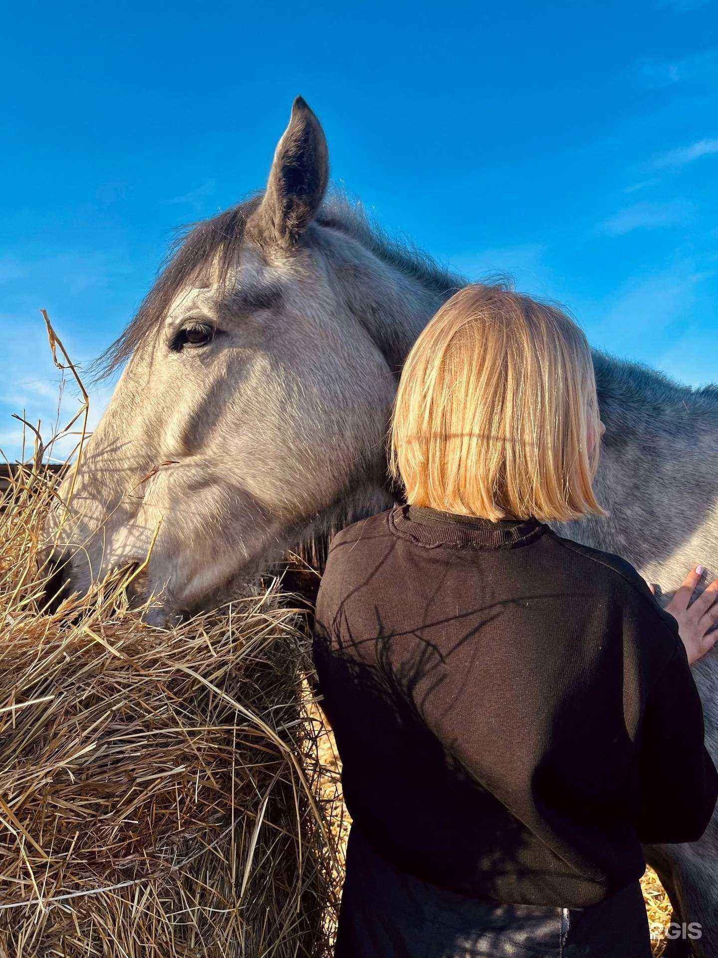 Отзывы на компанию Гордый в Черемхове c фото