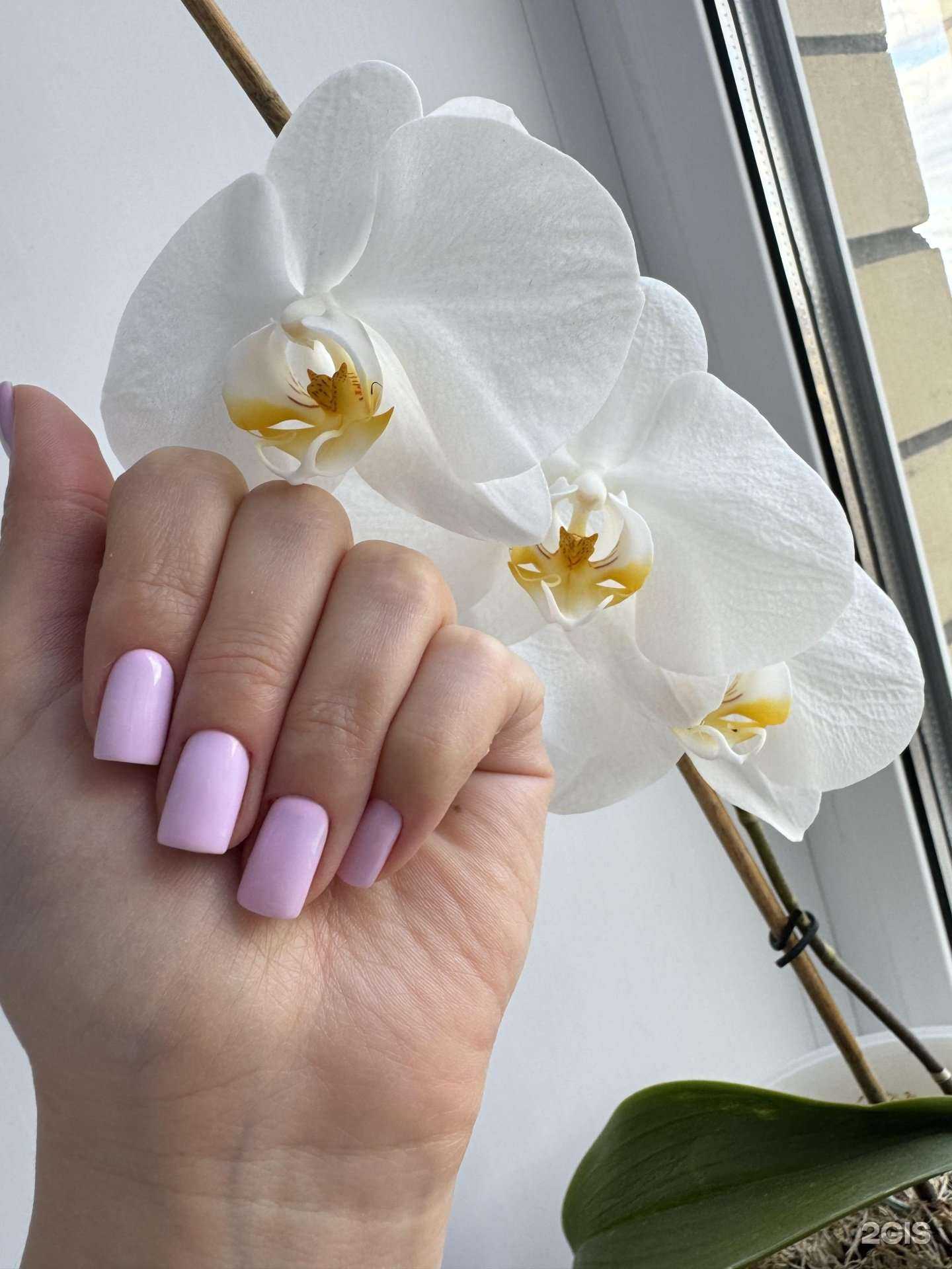 Отзывы на компанию  Матрёшка в Воронеже c фото