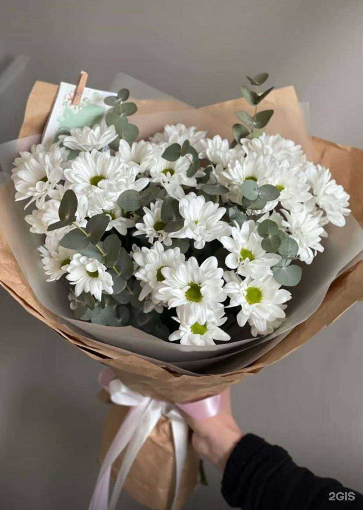 Отзывы на компанию Rosa Rossa в Майкопе c фото