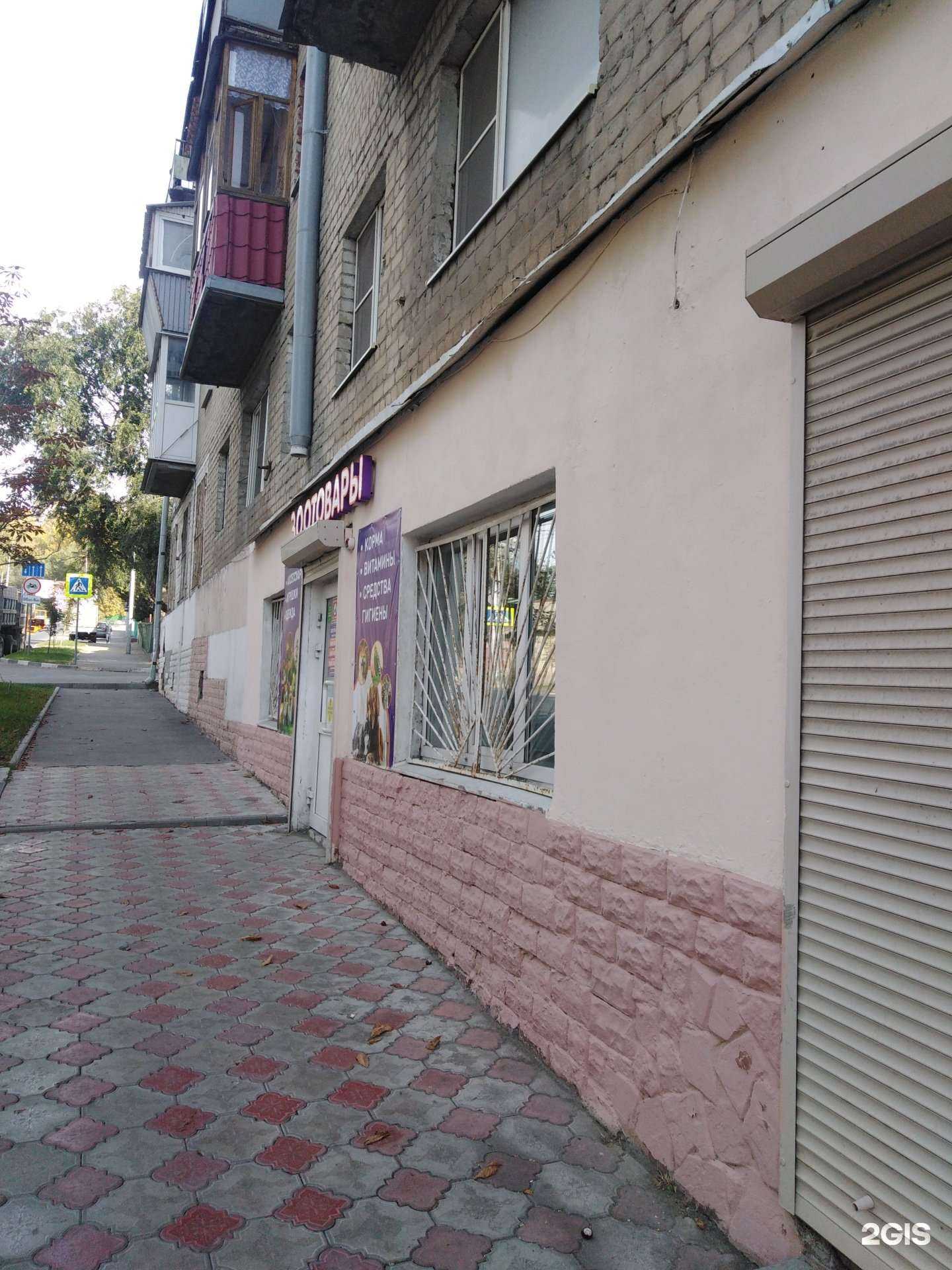 Отзывы на компанию Магазин зоотоваров в г. Саратов c фото