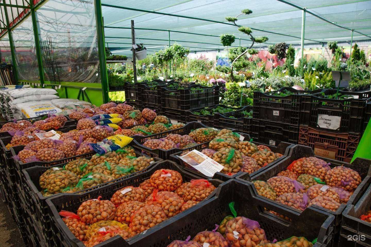 Отзывы на компанию Виктория в Челябинске c фото