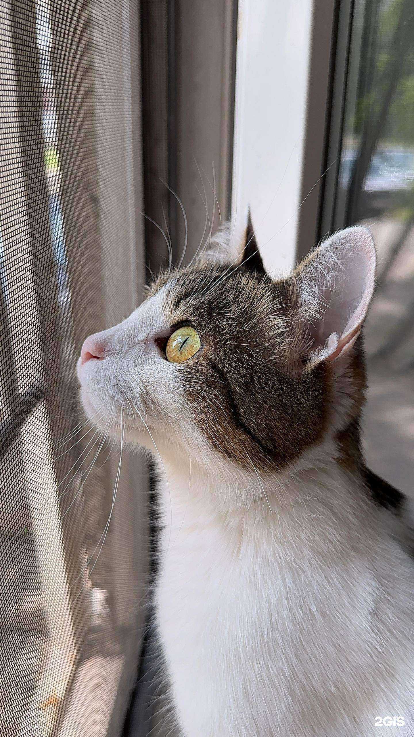 Отзывы на компанию КогтиТочка в г. Новокузнецк c фото