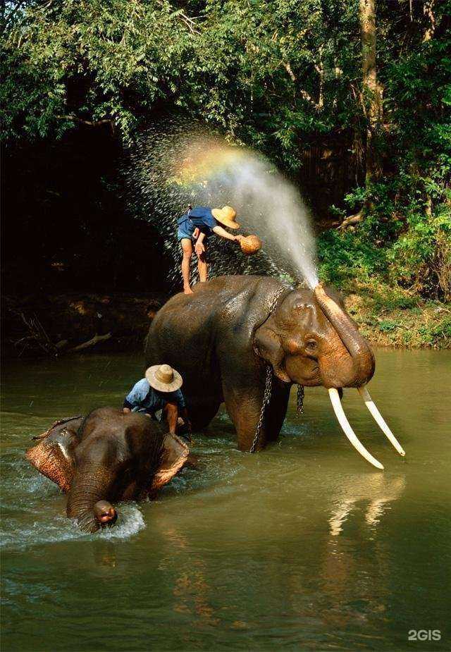 Отзывы на компанию Игуана в г. Пермь c фото